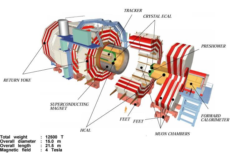 The CMS detector 184