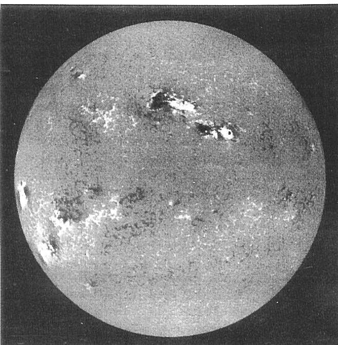 Arnab Rai Choudhuri Figure 3. A magnetogram image of the full solar disk.