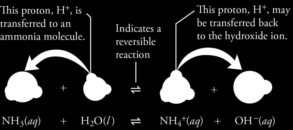 reversible reaction, which