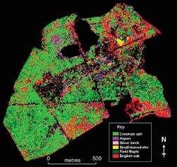 Remote sensing: species distribution area, forest fragmentation, area time-series Mapping