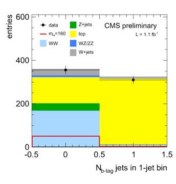 subdivide events by jet multiplicity (jet p T >30 GeV, η <5) 0-jet: dominated by WW.