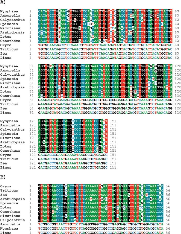 The Chloroplast Genome of Nymphaea alba 1451 FIG. 3.
