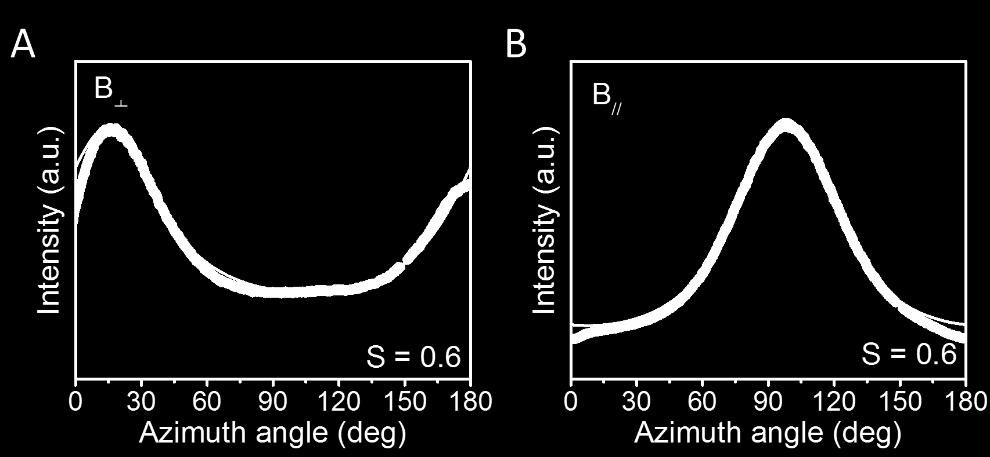 Figure S6. (A) Azimuth intensity of LCNs polymerized in the presence of a magnetic fields perpendicular (B ) to the substrate.