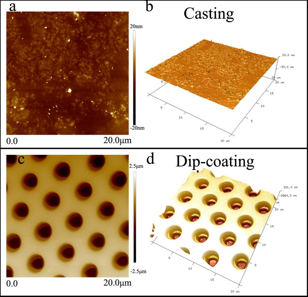Figure S4. Plane AFM images (a,c) and 3D AFM (b,d) images of polysbma casted PSHCM (top) and polysbma dip-coating PSHCM (bottom). The hole of PSHCM after casting was filled with polysbma.