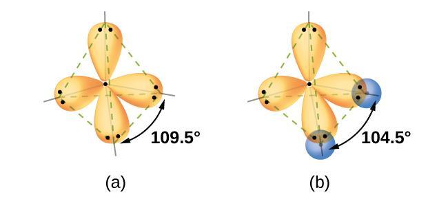 FIGURE 8.7 VSEPR JUSTIFIED (a) A water molecule has four regions of electron density, so VSEPR theory predicts a tetrahedral arrangement of hybrid orbitals.