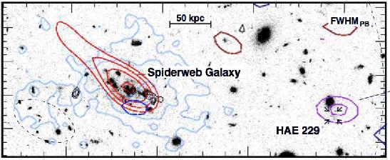 Spiderweb z=2.16 Structure * strong excess of Ly emitters around radio galaxy Kurk et al. (2000, 2004a,b), Pentericci et al.
