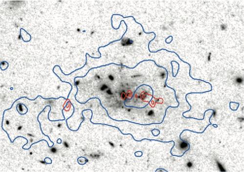 (2011b) * statistical excess of submm emission around Spiderweb galaxy (the cd progenitor) CO(1-0) extending 150kpc in Spiderweb s
