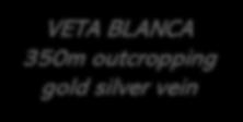 48 / 8.4 VETA BLANCA 350m outcropping gold silver vein 0.35 / 263 1.99 / 409 1.9 / 590 1.