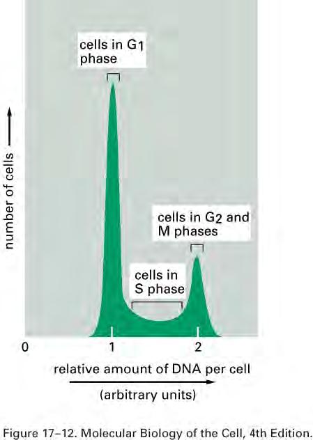 Analysis of DNA content with a flow
