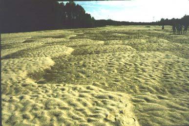 Dunes Dunes are