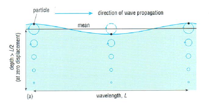 Bedforms generated by surface waves Surface waves transfer little mass but considerable energy Surface waves define orbitals in fluid that have decreasing diameter with depth Depth below which