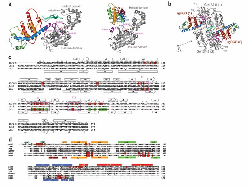 Structure of the p115rhogef rgrgs domain Gα13/i1 chimera complex suggests convergent