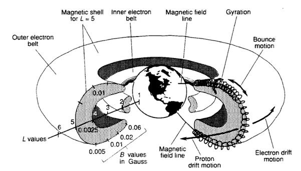 The Van Allen Radiation Belts Ref: V. L. Pisacane and R. C.