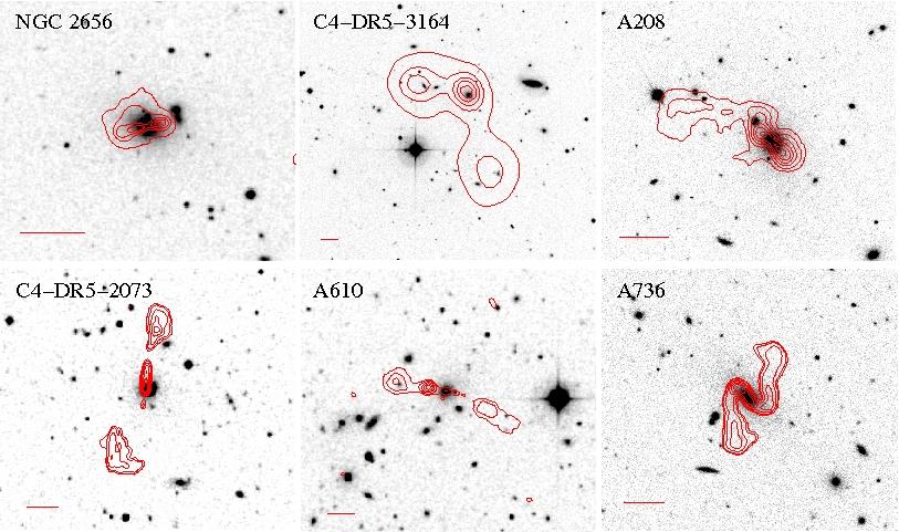 Optically selected groups with strong central radio AGN * Selected from the SDSS-C4-DR5 sample (Miller et al. 2004) (1713 clusters) * z<0.