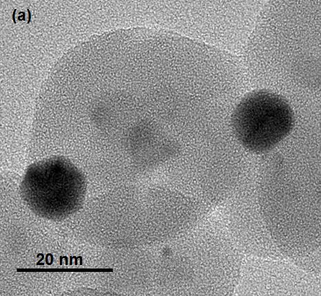 Supported AuPd NP catalysts morphologically structured Au-rich core and a Pd-rich shell TEM and HAADF-STEM image of a Au:Pd