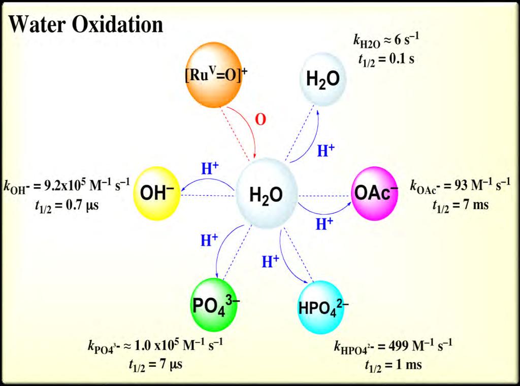 Buffer Base-Enhanced Water Oxidation Catalysis 1500 (a) 4.