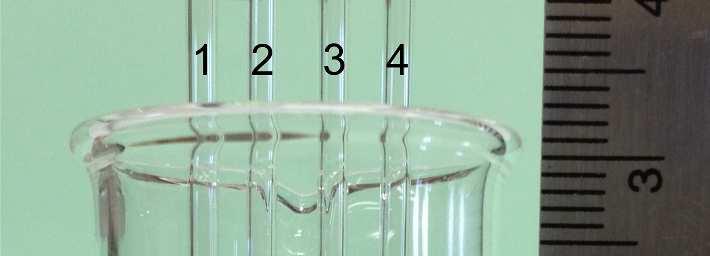 Figure S4. The capillary height test in the glass capillary tubes (inner diameter ca. 1.