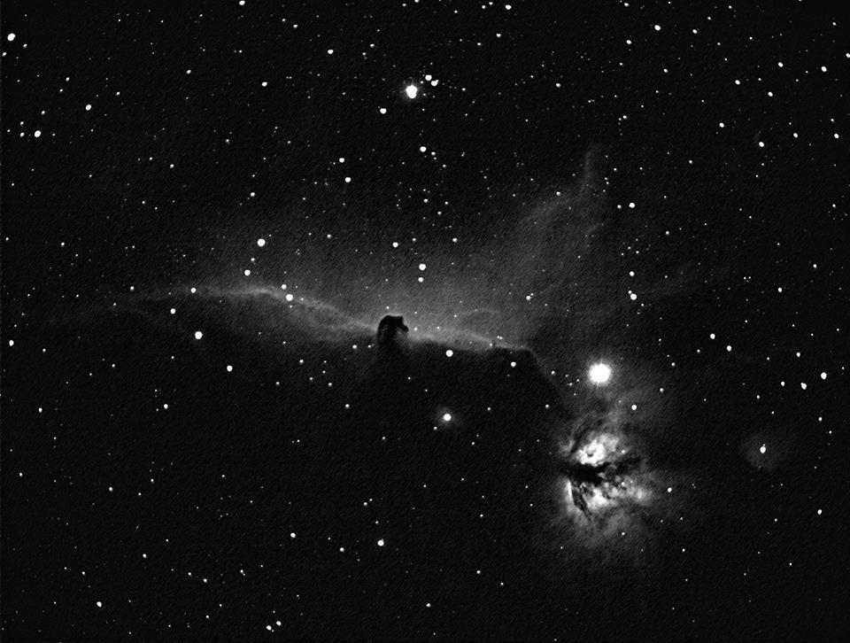 Horsehead Nebula by Glenn Frank on Feb.