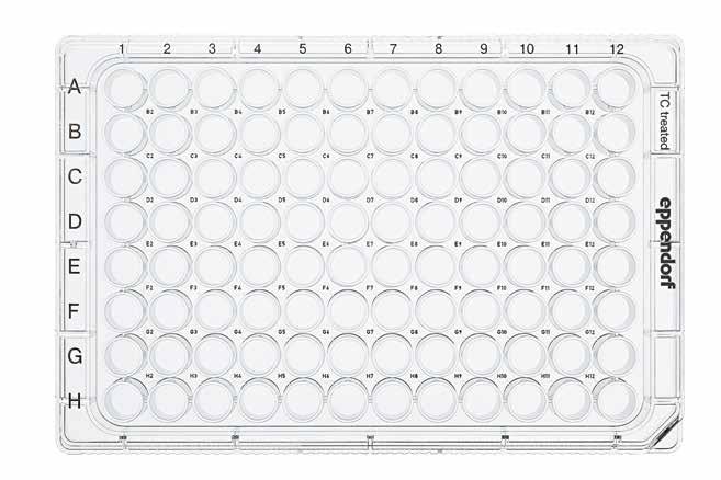 302 303 Cell Handling Cell Handling Eppendorf Cell Culture Plates Eppendorf Cell Culture Plates Keep your cells warm outside the incubator, avoid the edge effect and use more wells.