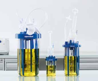 Providing a shear-free environment, it is a premium choice in a wide variety of applications, including the production of secreted products and stem cell culture.