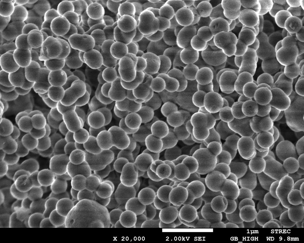 The morphological features of the mesoporous silica produced from diatomite was in good agreement with that derived from using pure commercial silica source.