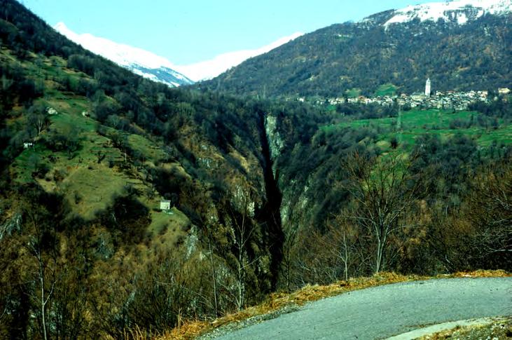 On the "root zone" of the Alpine nappes in the Ticino area (Ivrea Zone, Insubric line and gneisses of the Southern Steep Belt): Geometry and kinematics