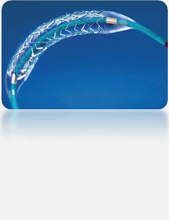 Introduction: what is a coronary stent?