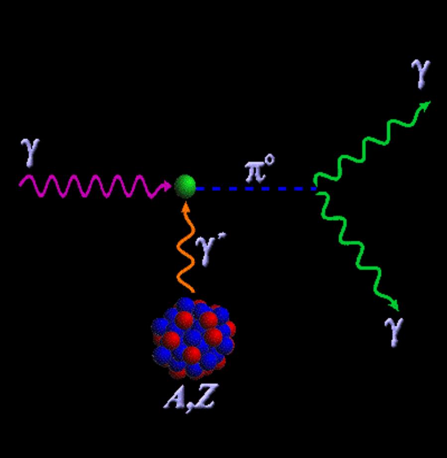 σ(γa π 0 X) Primakoff + nuclear σ prim (θ π ) Γ γγ Z 2 E γ 4 sin 2 (θ π )/Q 4 Q= mom.trans.