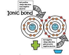 Chemical Bonds - Ionic Bond: formed when one or more electrons are transferred from one atom to another - Strong attraction between oppositely charged