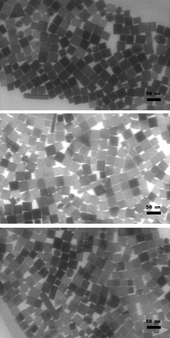 SI5 Representative TEM images of Pd cube (average size 25 nm ) after two centrifugation/re-dispersion cycles,