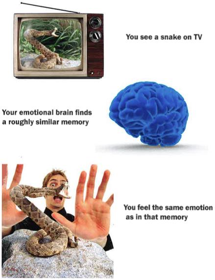 E M O T I O N A L M E M O R Y Your emotional brain works by identifying a
