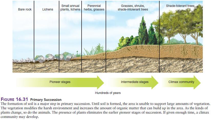 FIRST QUARTER Activity Sheet No. 20 TOPIC : Ecological succession Explain how ecosystem can change.