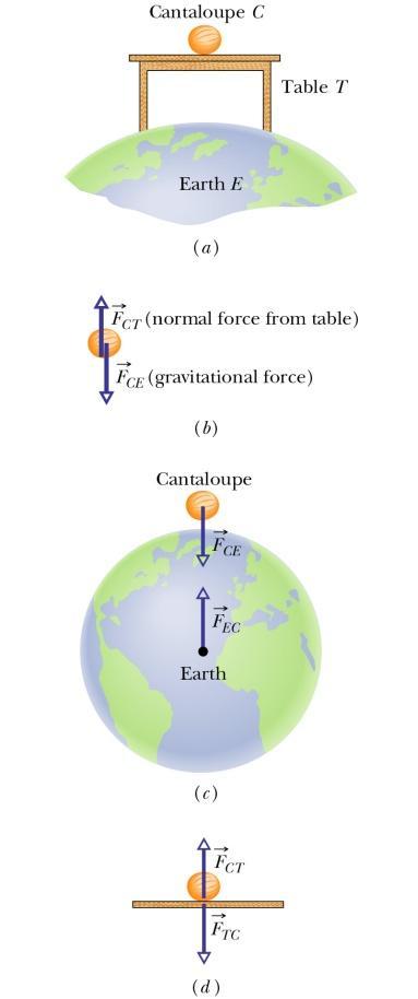 5 Fnet a m 2mg first object a g 2m mg second object a g m From this, we see that both rocks fall with same acceleration a=g (assuming air resistance ignored and gravity is the only force acting)