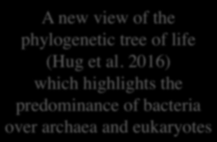 2016) which highlights the predominance of bacteria over archaea and eukaryotes 21 23 The gap between the RNA world and the LUCA The root of the phylogenetic tree is not representative of the oldest