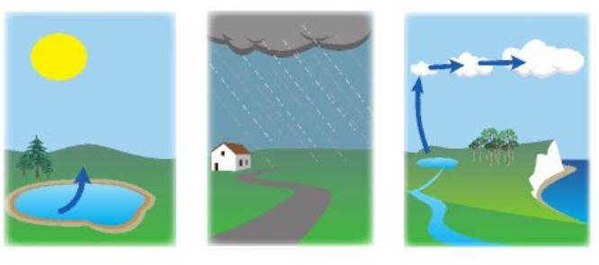 Q 13: See the Pictures; Label each picture with Evaporation, Precipitation, and Condensation: