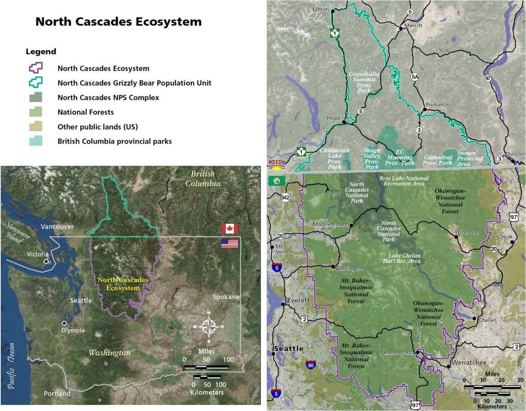 Figure 1. The North Cascades Ecosystem, administrated as a Grizzly Bear Recovery Zone in the U.S. and as a Grizzly Bear Population Unit in B.C. The North Cascades Ecosystem is a wild, rugged landscape with diverse climates and biomes.