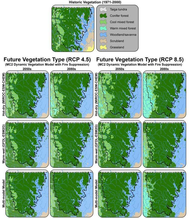 Figure 4. Projected changes in vegetation biomes from the MC2 dynamic global vegetation model with fire suppression for the North Cascades Grizzly Bear Recovery Zone.