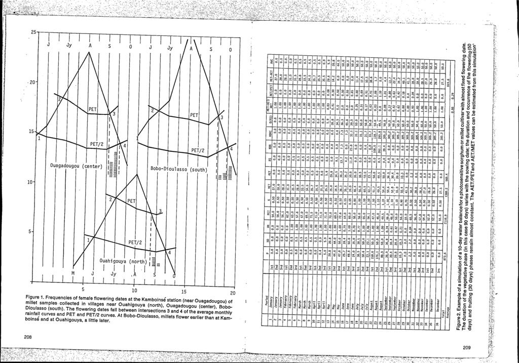 ~ 25 J JY A S O J 1 1 J 1 1 JY \- I l 5 10 15 L" Figure 1. Frequencies of female flowering dates at the Kamboinsé station (near Ouagadougou) of millet samples.