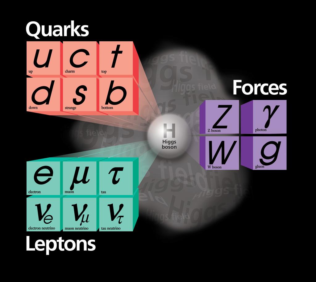 Figure 1.1: The Standard Model of Particle Physics. [1] and hence generally can interact via weak interaction but do not feel the strong interaction.