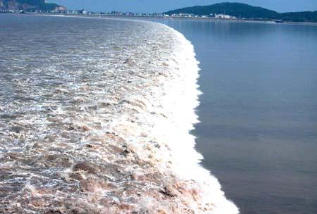 Tsunamis Waves caused by the sudden displacement of water resulting from underwater