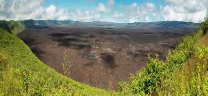 About Volcanoes fissure A long crack or break in the ground from which volcanic gases, ash, rocks, and/or lava erupts.
