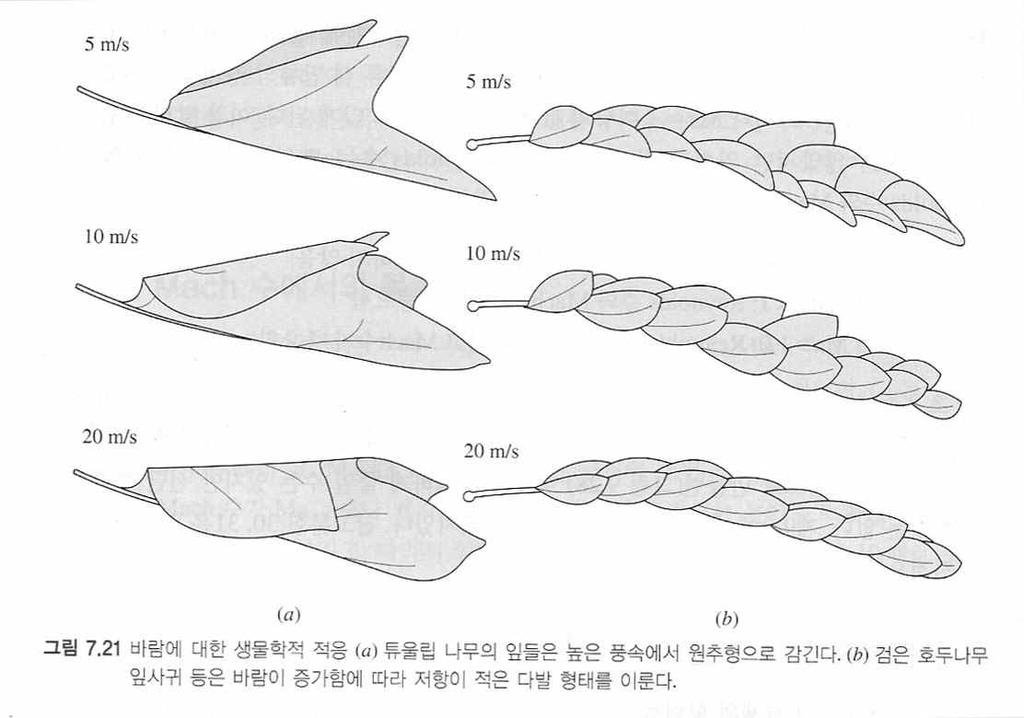 Forces on Lifting Bodies Lifting bodies (airfoils, hydrofoils, or vanes) are intended to provide a large force normal