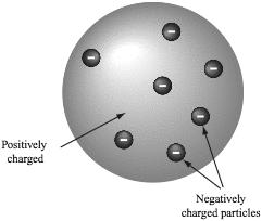 25 An early model of the atom, shown below, incorrectly described the structure of the atom as an area of positive charges with small, negatively charged particles inside.