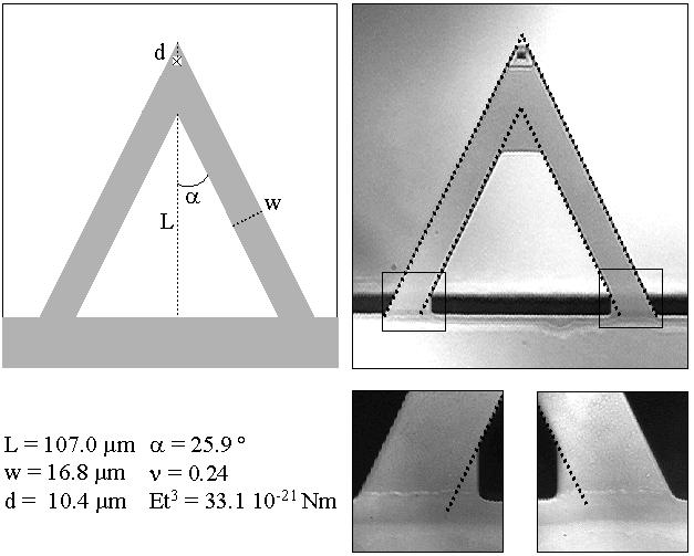 Measuring the spring constant of atomic force microscope cantilevers: thermal fluctuations and other methods (a) (b) depends strongly on the cantilever thickness t, a thickness variation of 5%