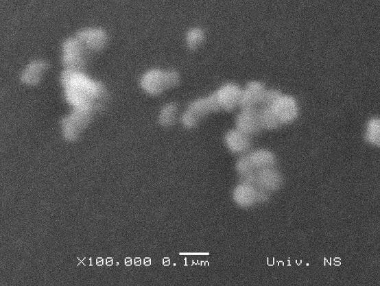 back scattering SEM imaging (Fig.10.b, d)) that particles are not PP.