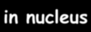 range ~ 1 fm) a bunch of nucleons