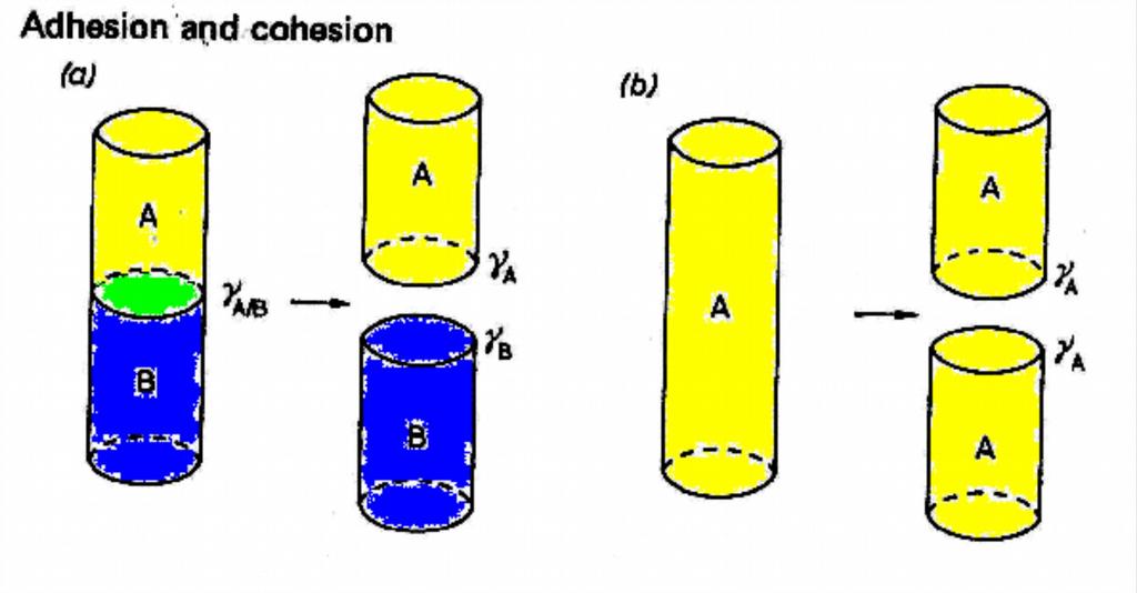 Adhesion, Cohesion, Spreading Spreading coefficient: S=Wa-Wc=γB-(γA+γAB) lower phase upper phase interface Wa=γB+γA-γAB Wc=2γA S=γlower-(γupper+γinterface) The work of adhesion between two immiscible
