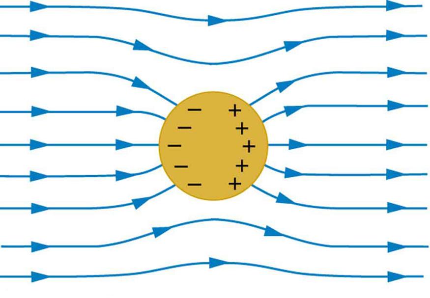 OpenStax-CNX module: m42317 3 Figure 2: This illustration shows a spherical conductor in static equilibrium with an originally uniform electric eld.