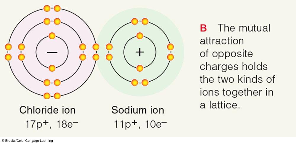 Ionic Bonds A strong mutual attraction between two oppositely charges ions with a large