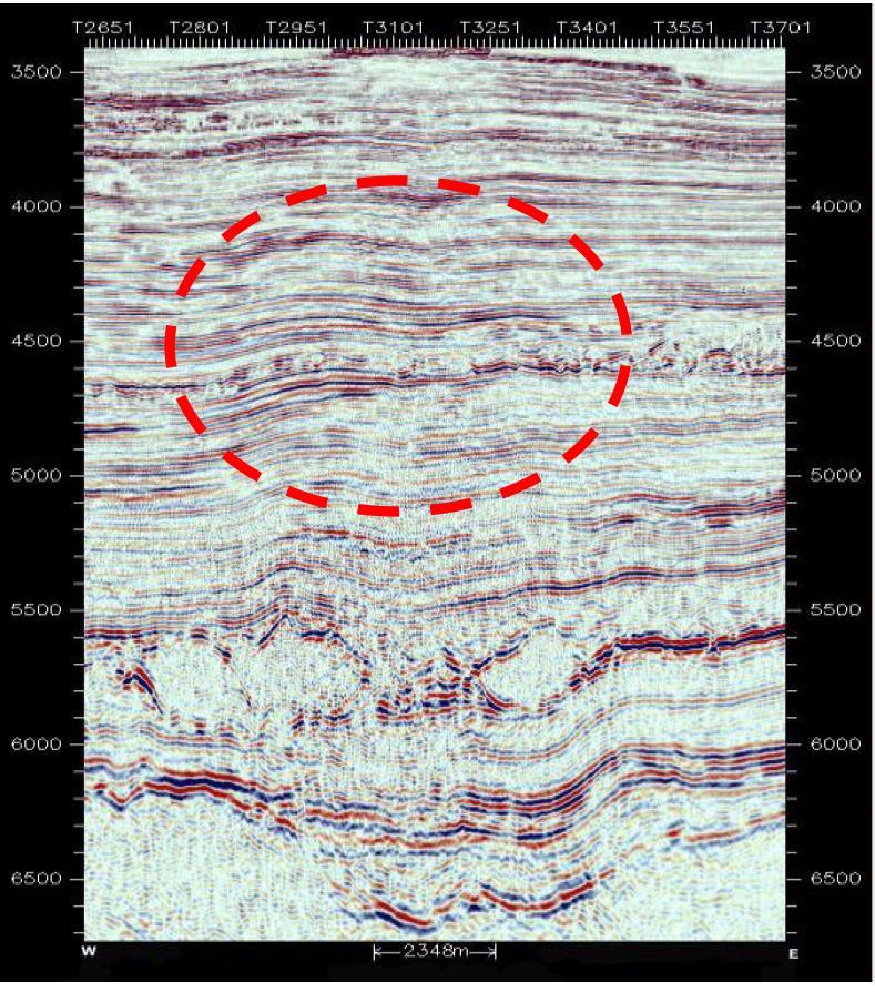 Fig.13. PSTM Processed Seismic Section The data shows presence of a NW-SE trending structure with a low separating the two culminations.